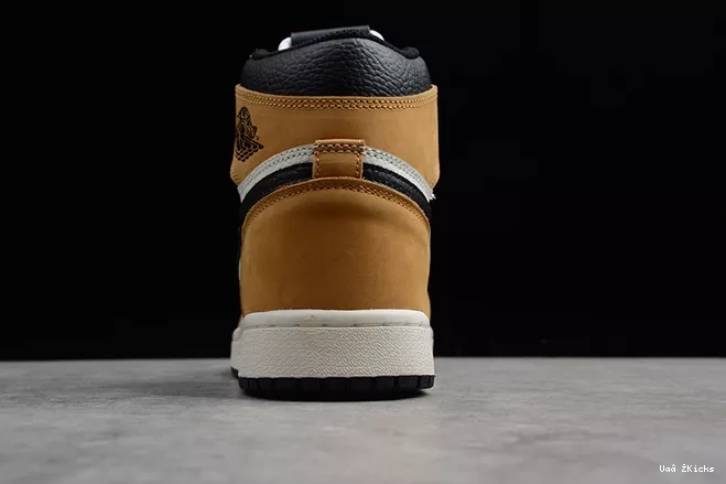 ROY Retro High 333 555088-700 Jordan 1 Air AllSeason OG 0906